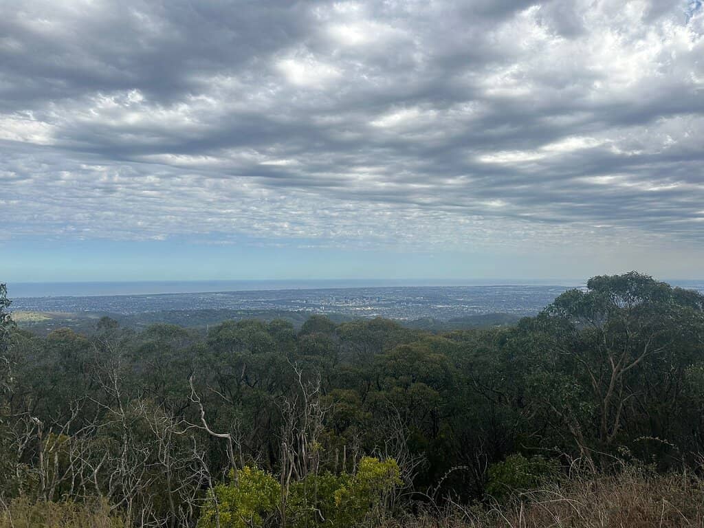 Waterfall Gully to Mount Lofty Hike