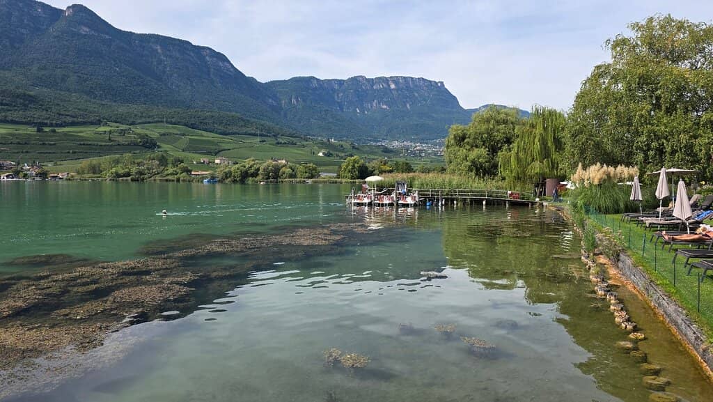 Vineyard-Lined Shores
