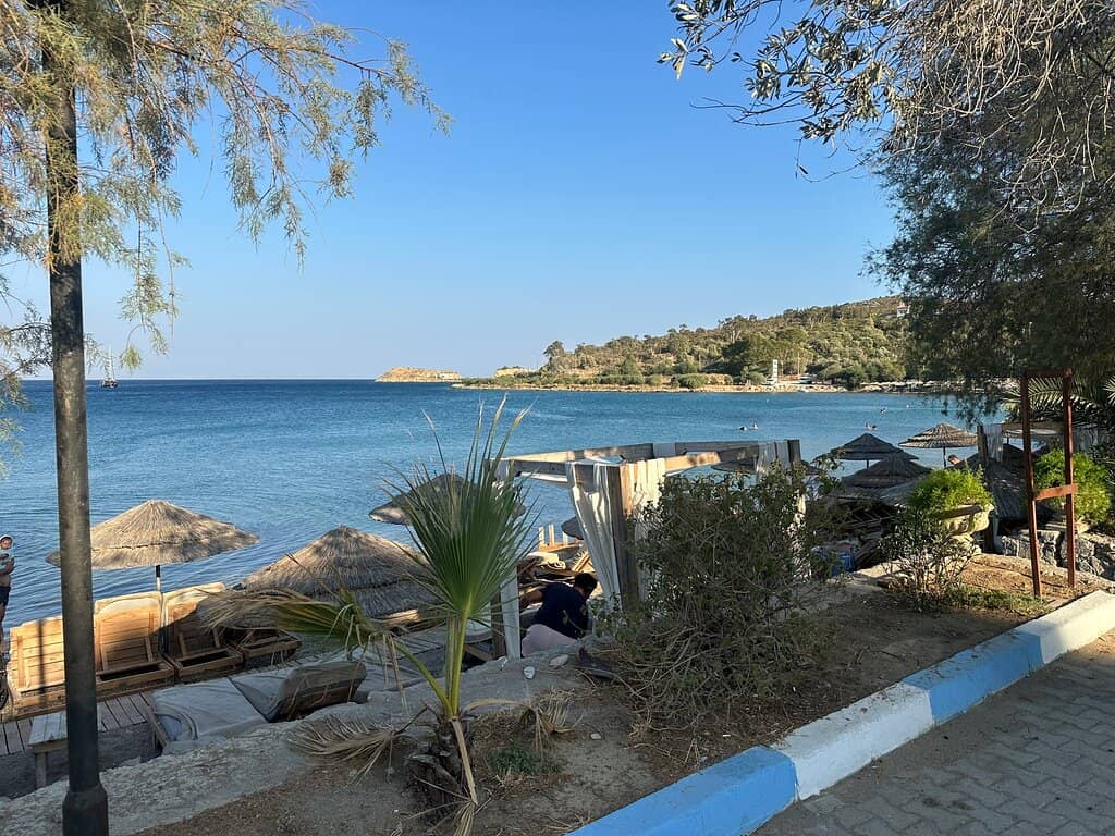 Cafe-Fronted Relaxation