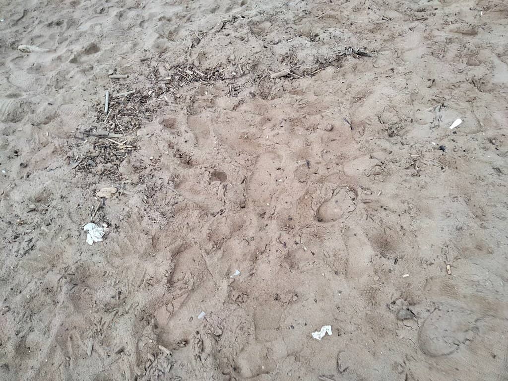 Crystal Clear Waters