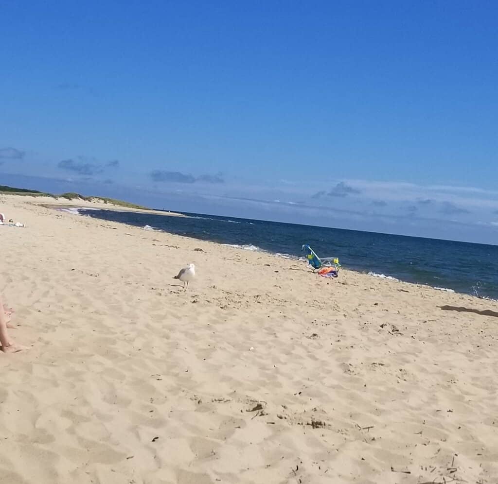 Views of Martha's Vineyard