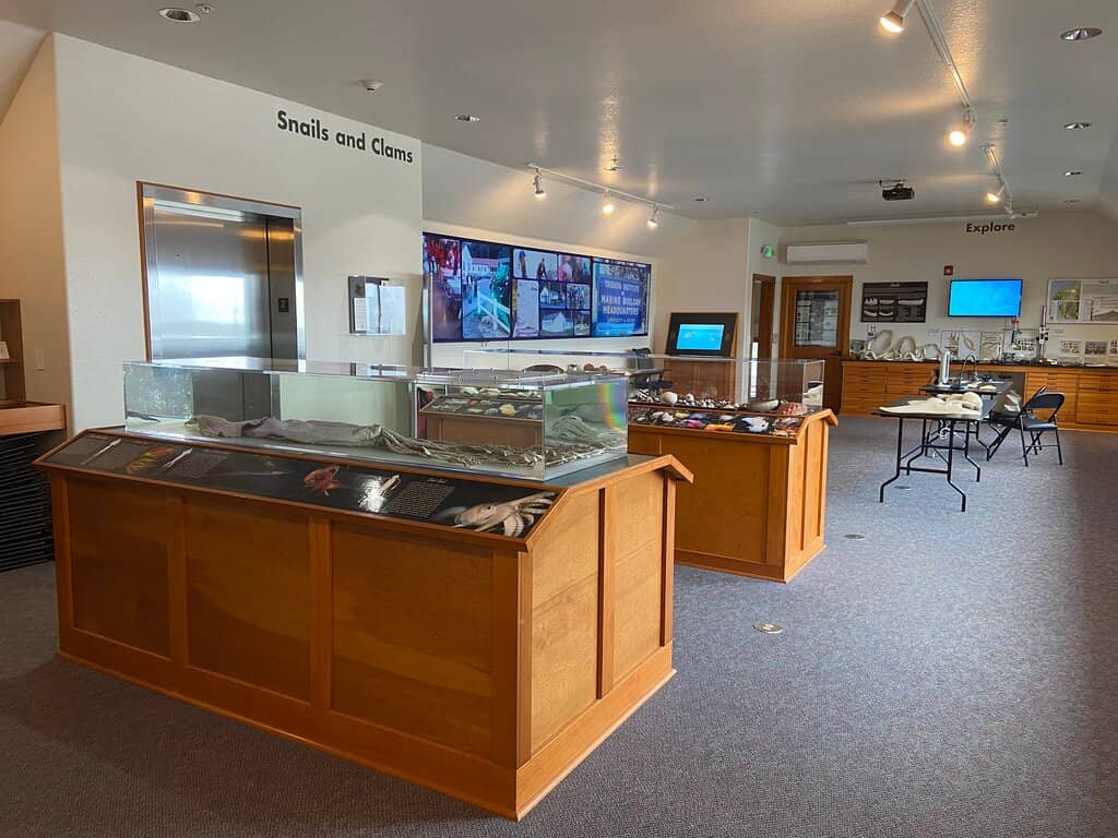 Local Marine Life Exhibits