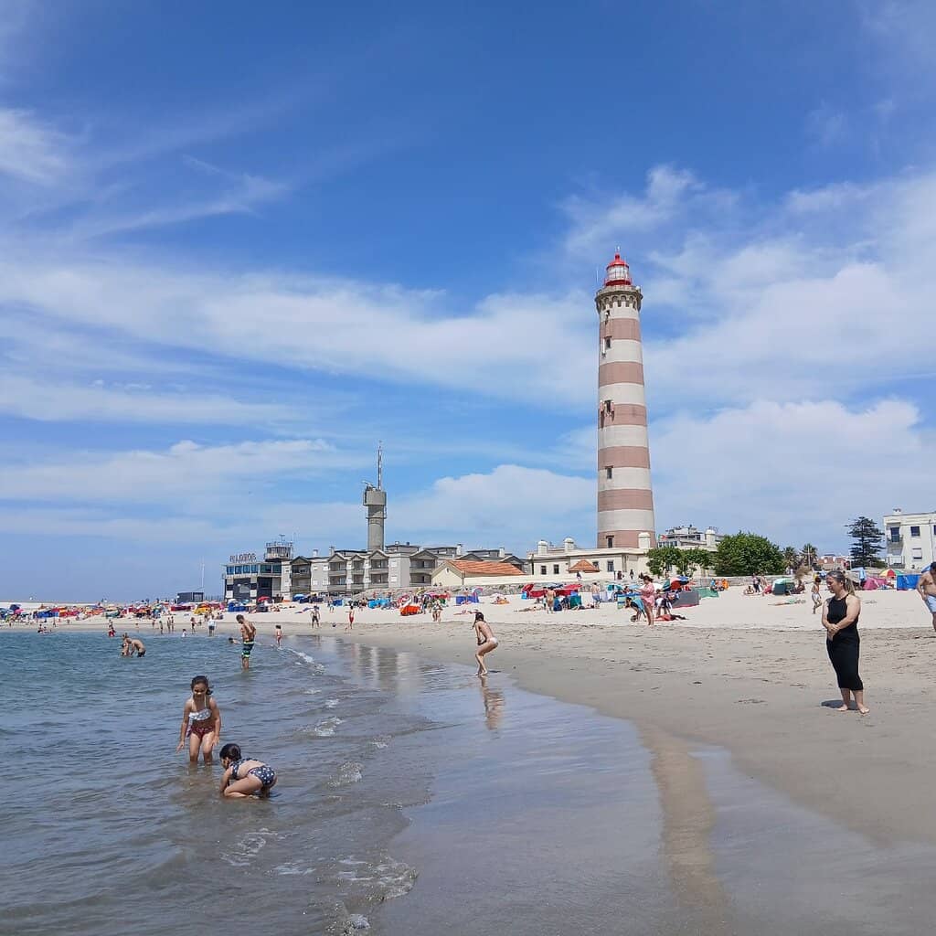 Vibrant Beachfront Promenade