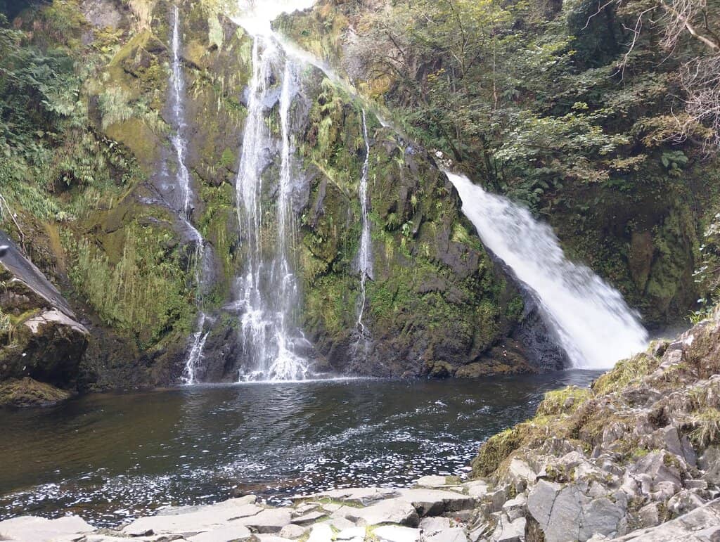 Wooded Gorge Ambiance