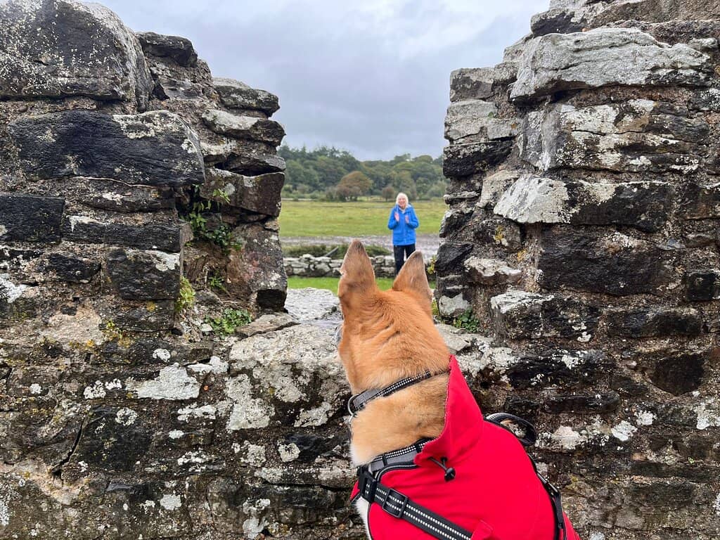 Ogmore Castle Stepping Stones