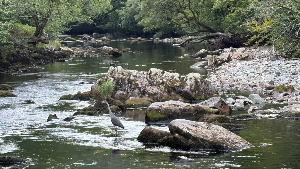 Beddgelert Village Charm