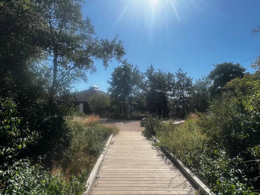 Amarminoen Trail
