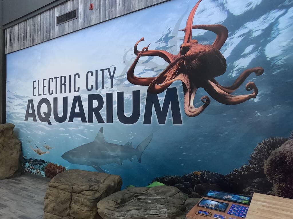 Rainforest Encounters