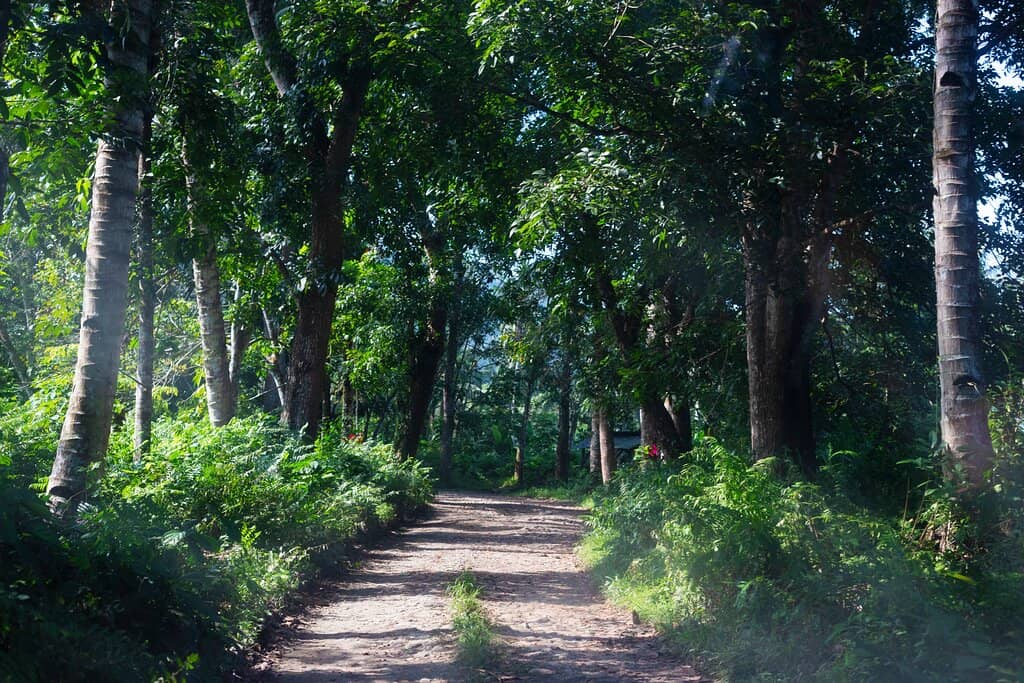 Teluk Hijau (Green Bay)