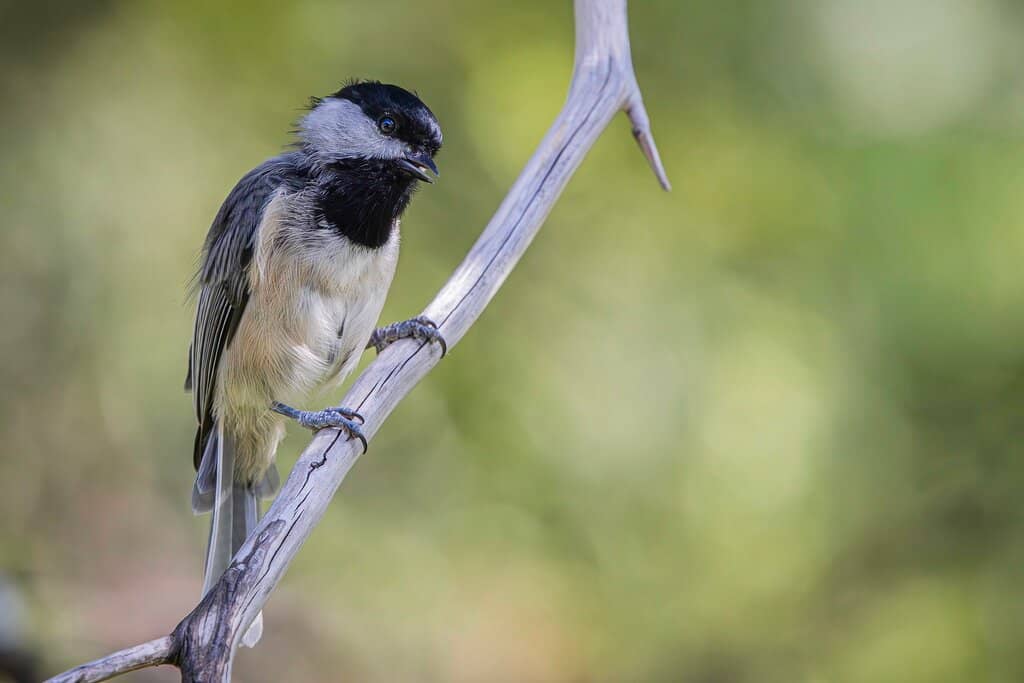 Children's Imagination Play Area