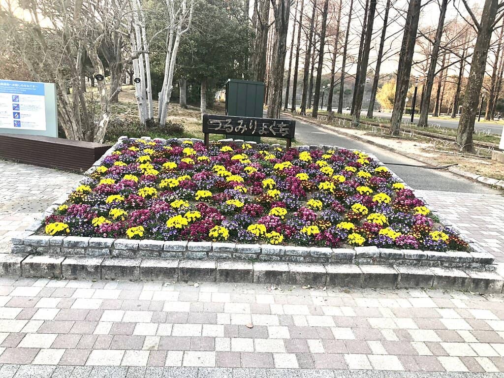 Vertical photo
