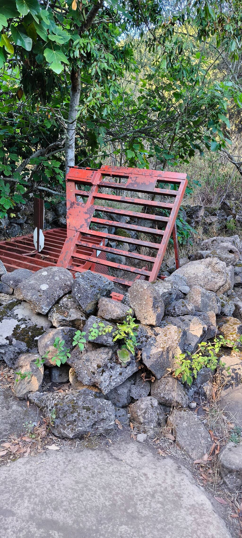 The Fifth Longest Lava Tube