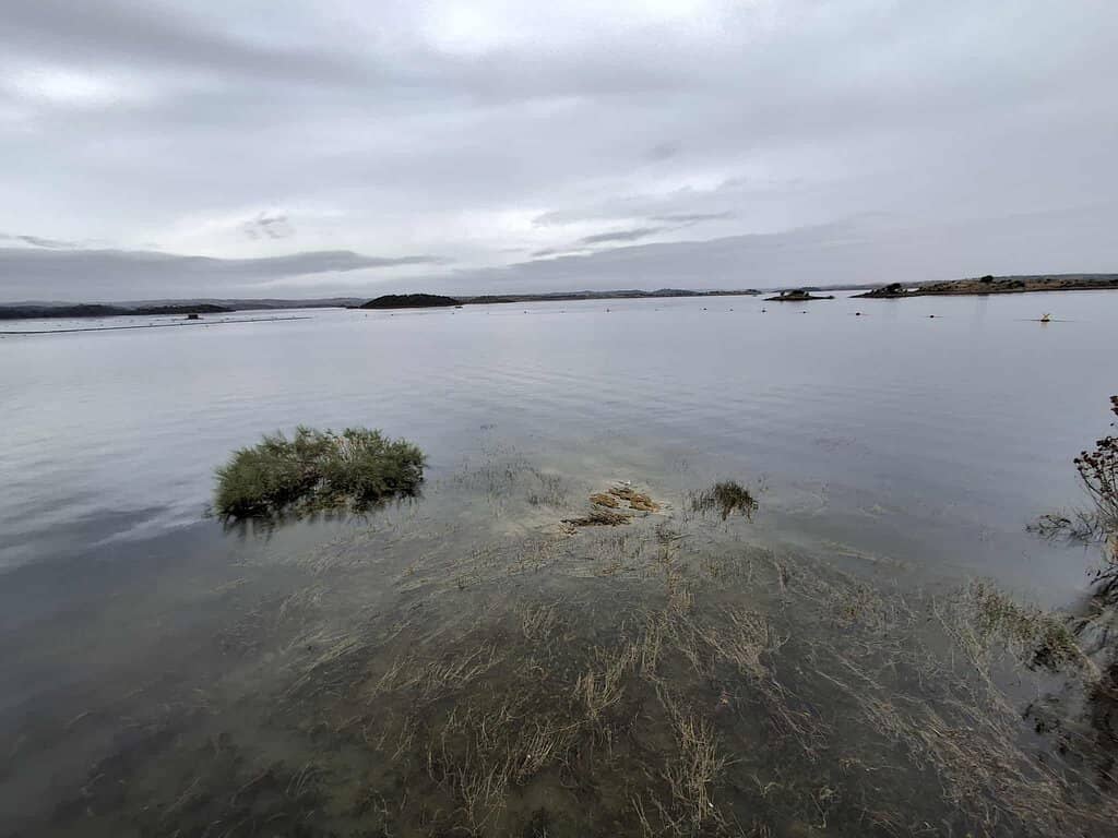 Monsaraz Medieval Village