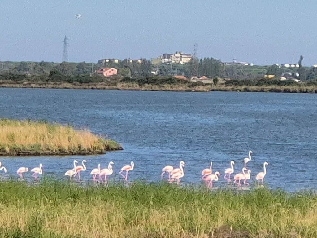 Casone di Donnabona