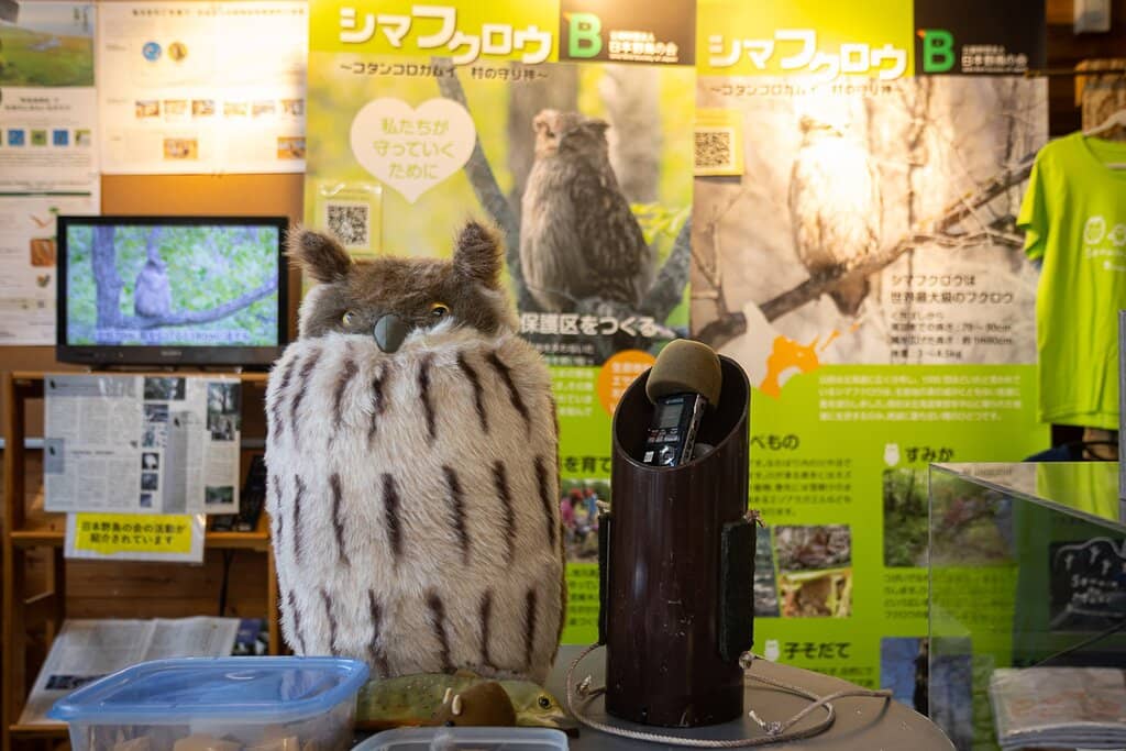 Visitor Center & Information