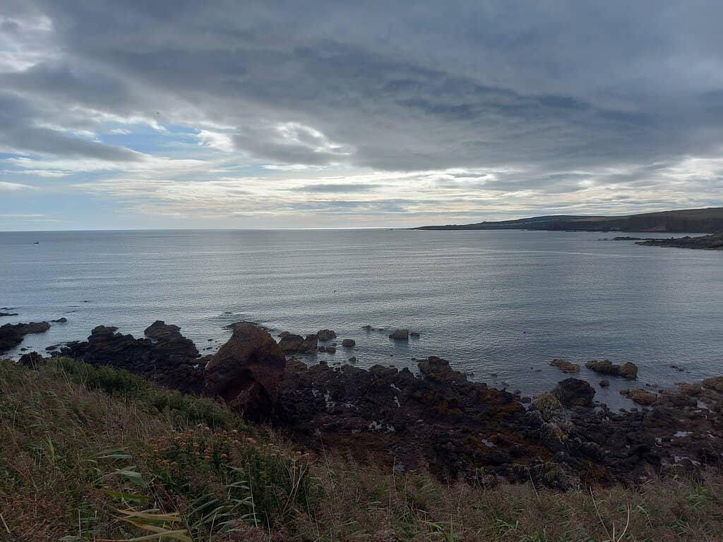 Snorkel Trail