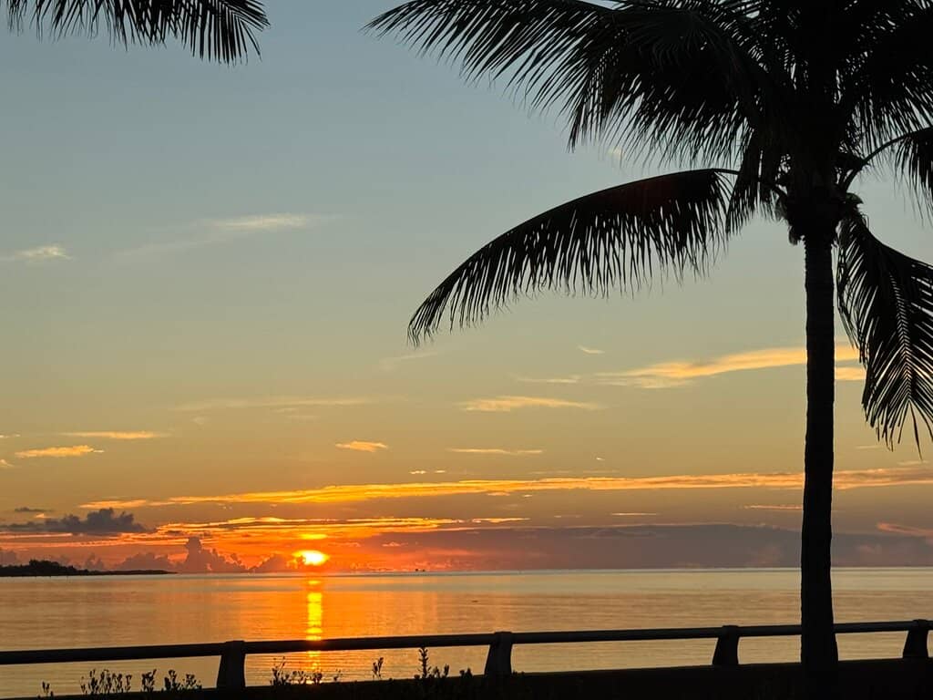 Sunset Views
