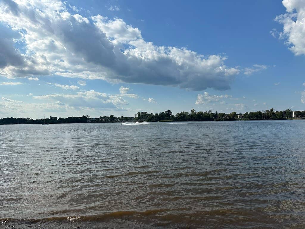 Wetlands Exploration