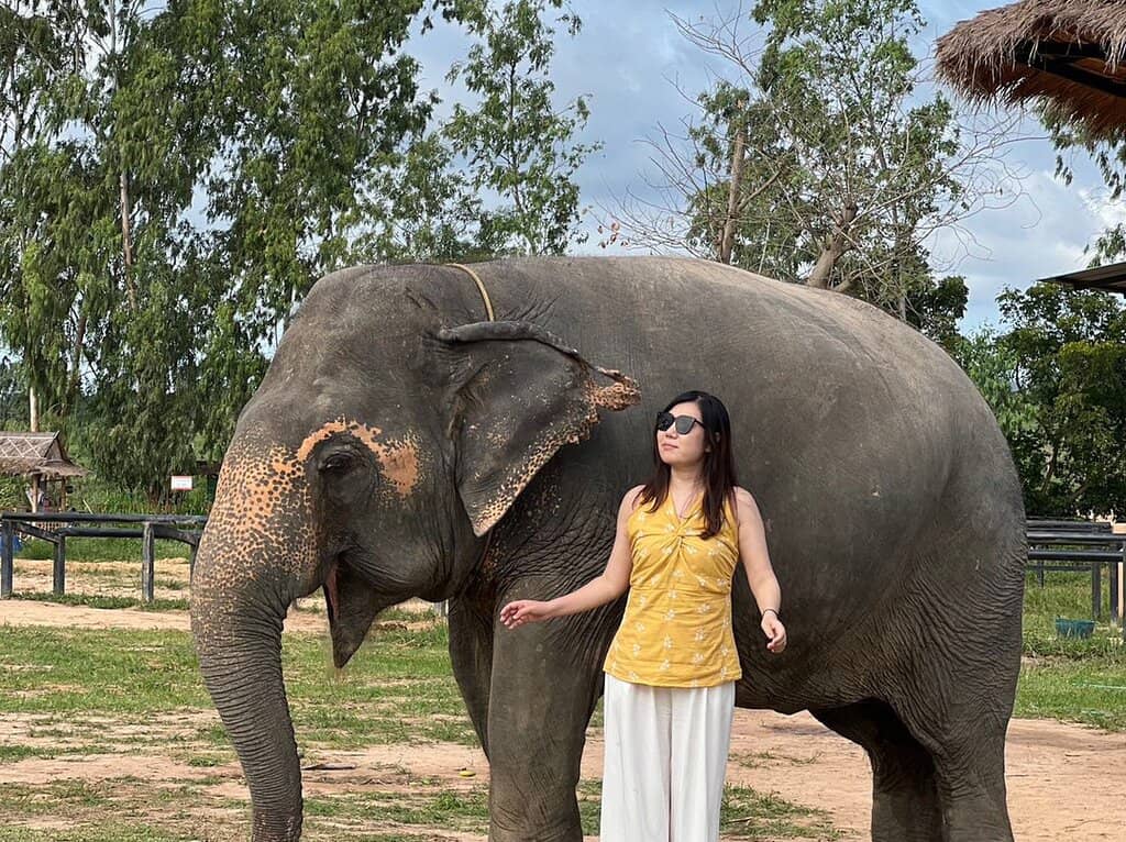 Elephant Poop Paper Making