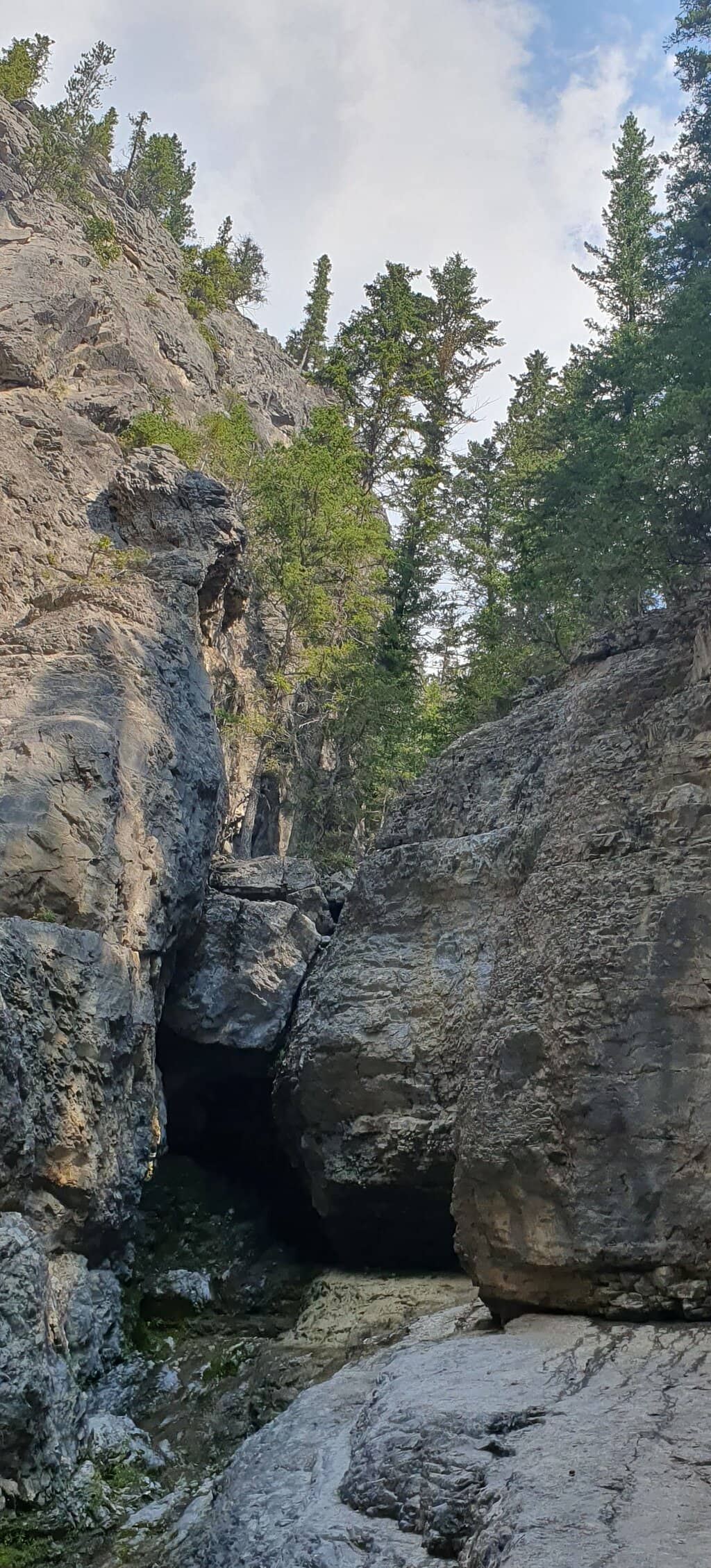 Canyon Creek Walk