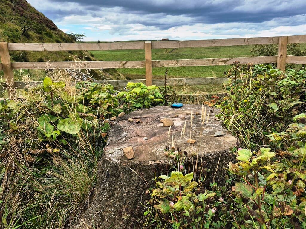 Sycamore Gap Memorial