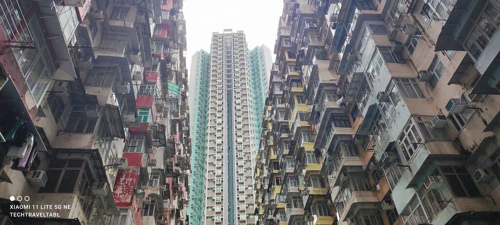 Vertical photo