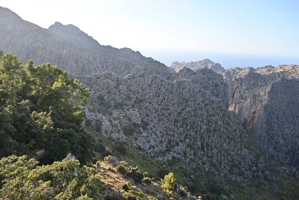 Pilgrimage Path to the Cross