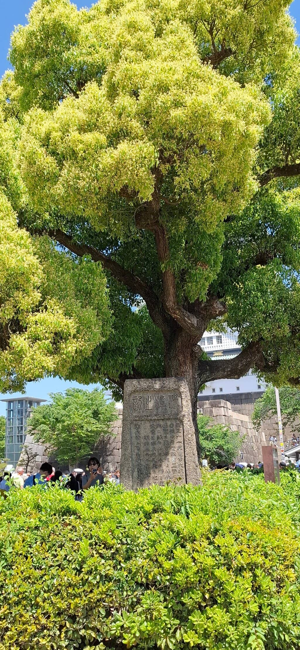 Interactive Fun Zones