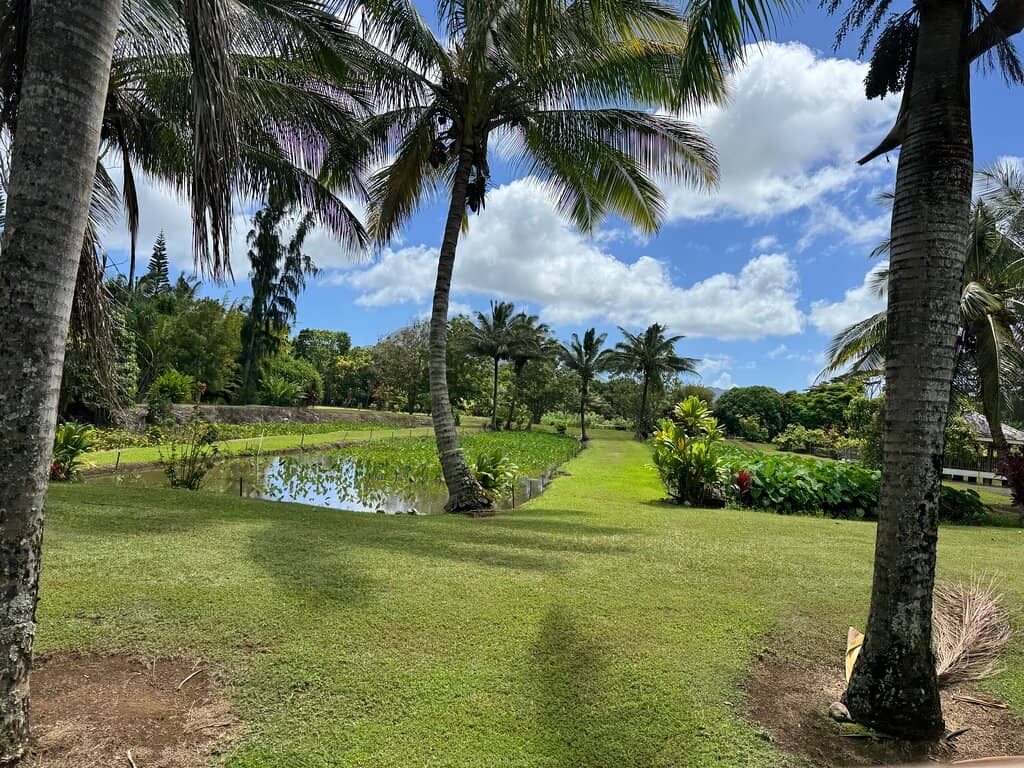 Orchard Fruit Tasting