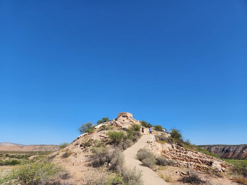 Vertical photo