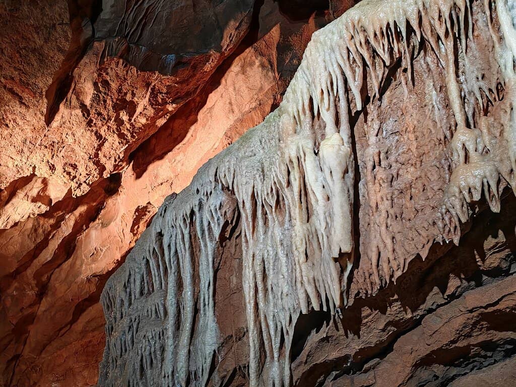 Cheddar Cheese Shops