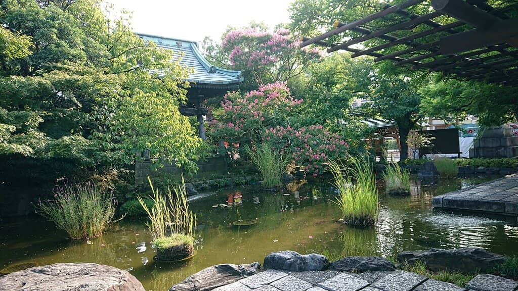 Peony Garden