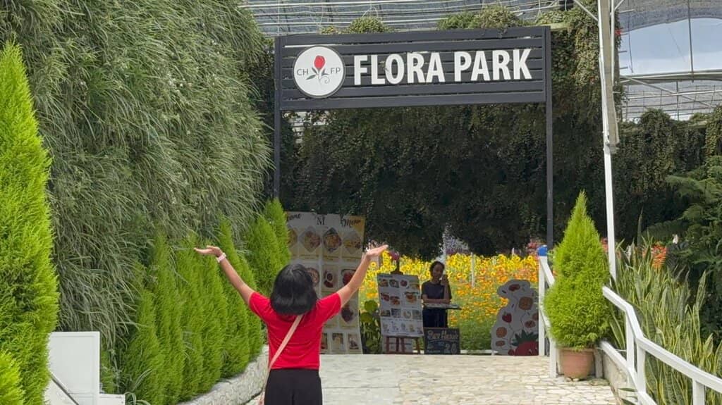 Indoor Fairy Tale Garden