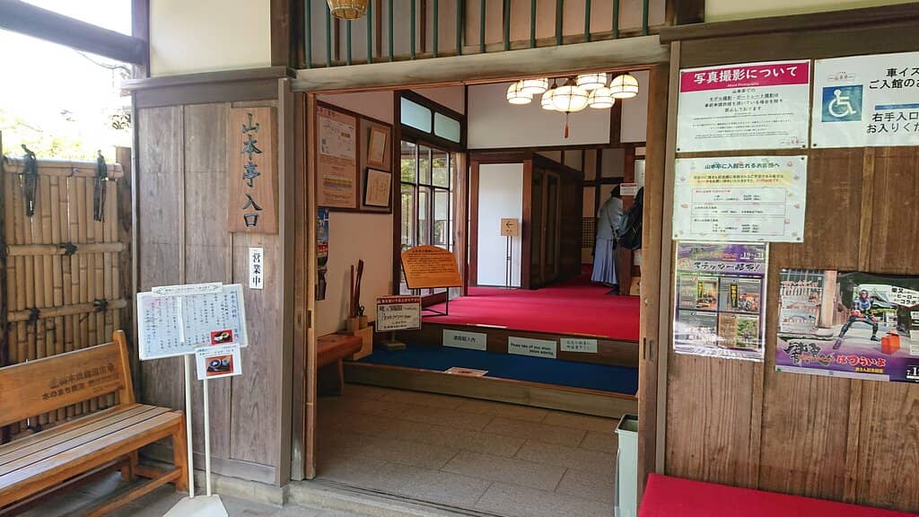 Traditional Tea House Experience