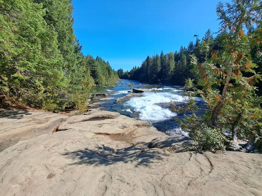 Natural Swimming Pools