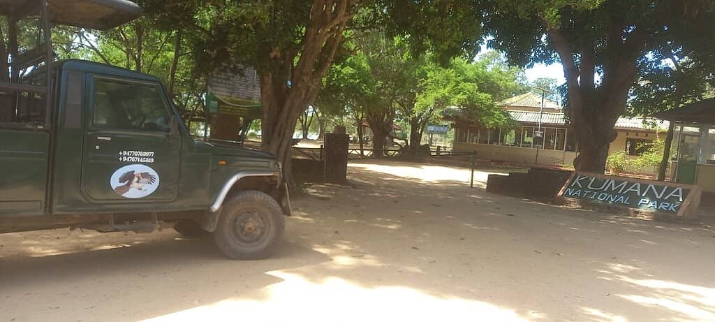 Birdwatcher's Paradise