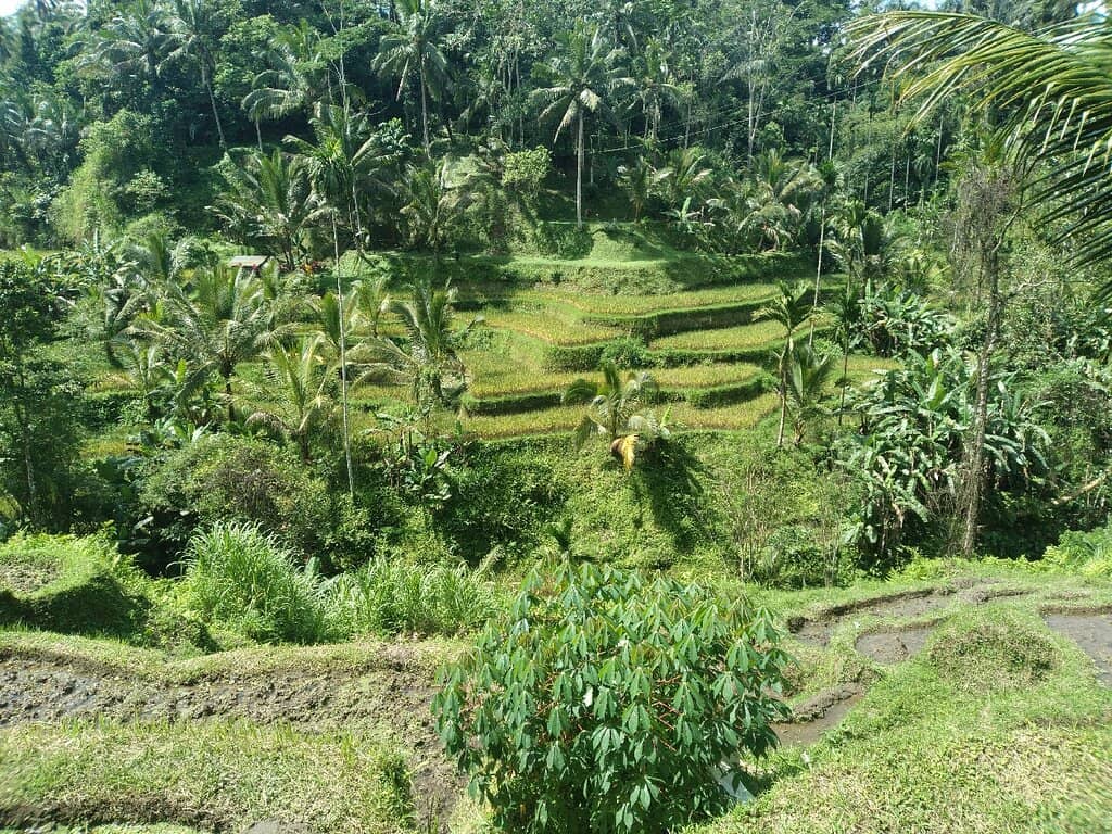 Pura Ulun Danu Tamblingan