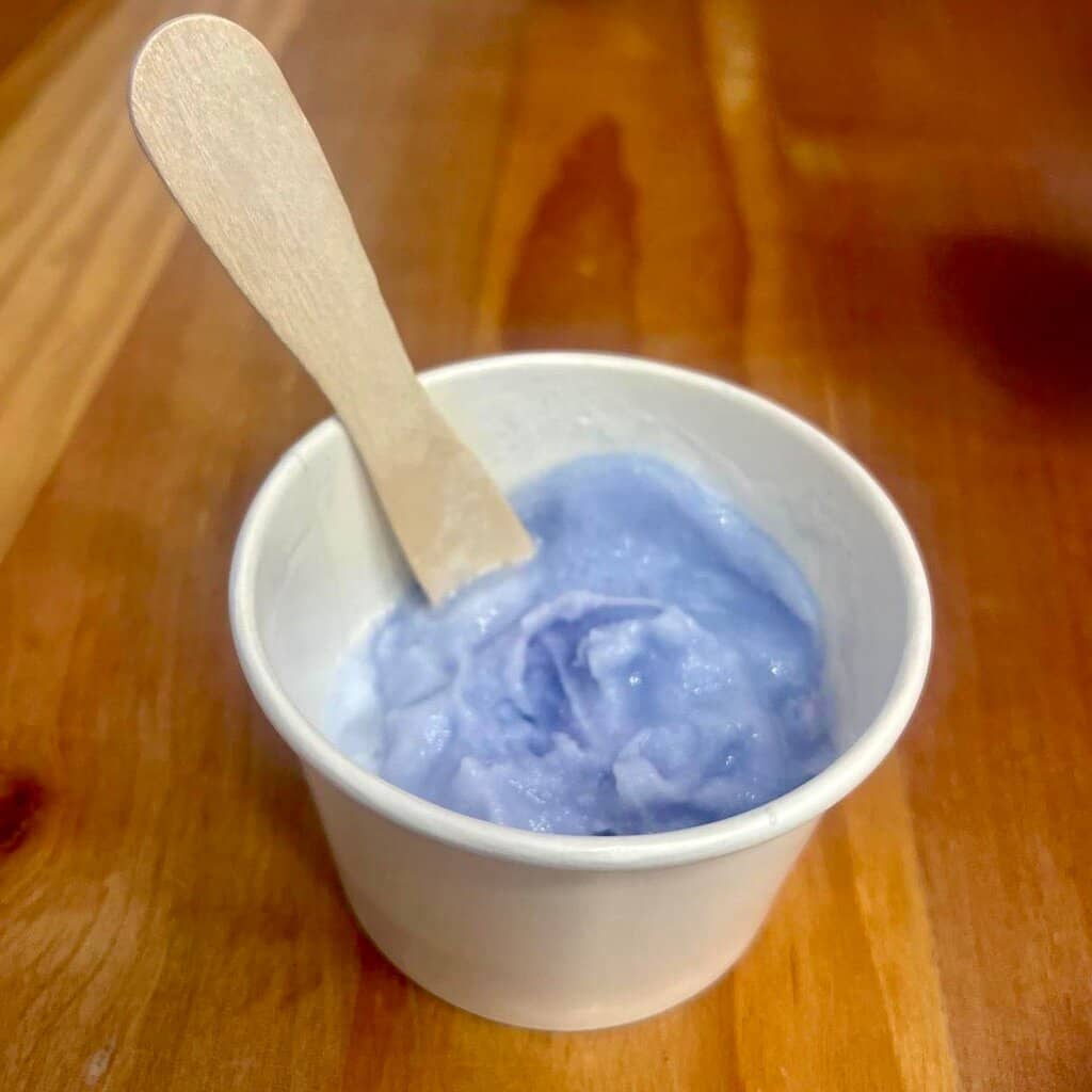 Artisanal Italian Ice Cream
