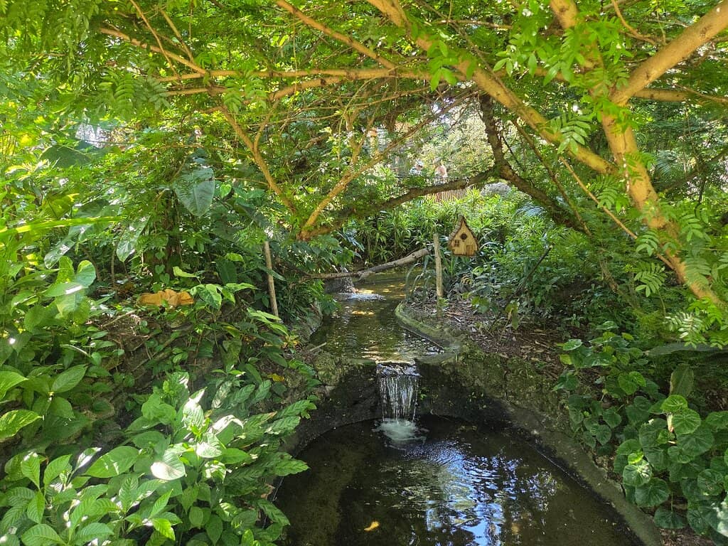 The Sunken Garden