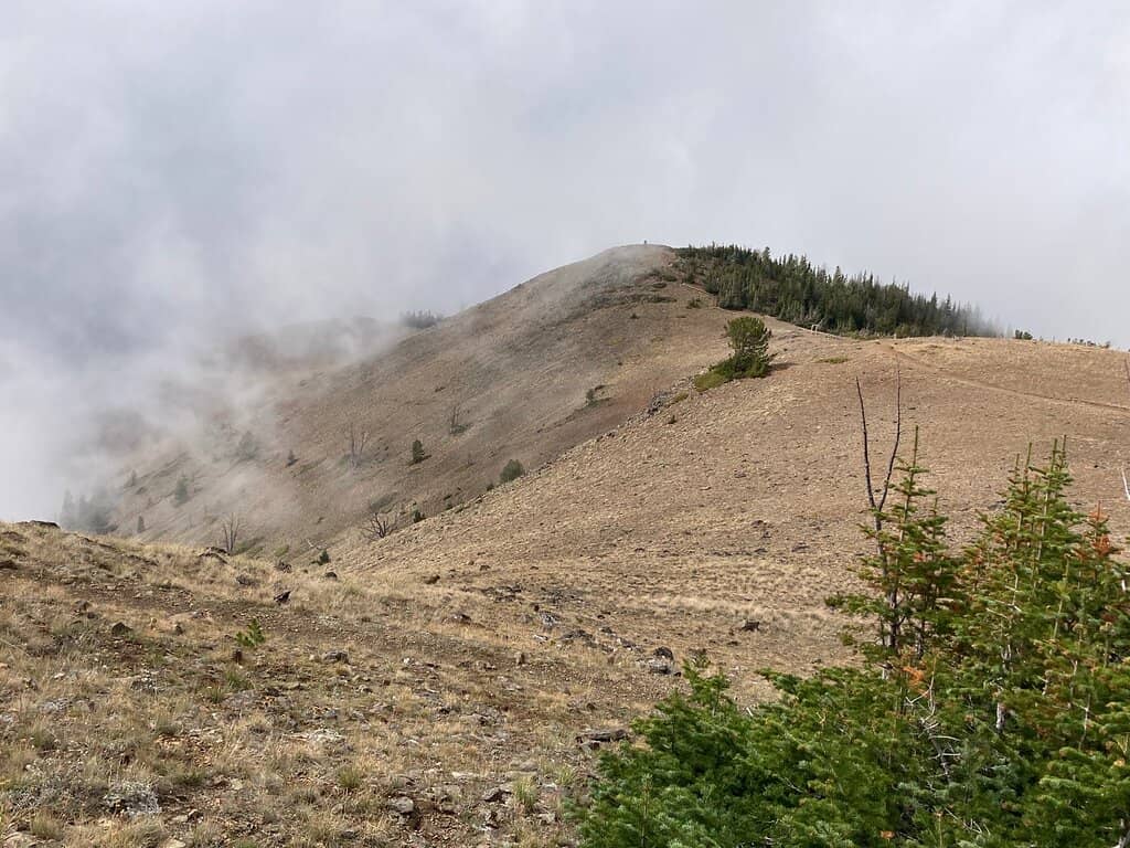 Alpine Trails