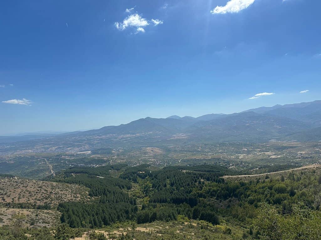 Vertical photo
