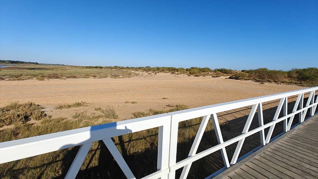 Wooden Boardwalks