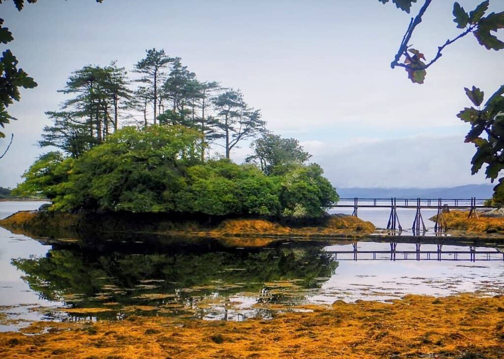 Meadow Walk & Waterfall