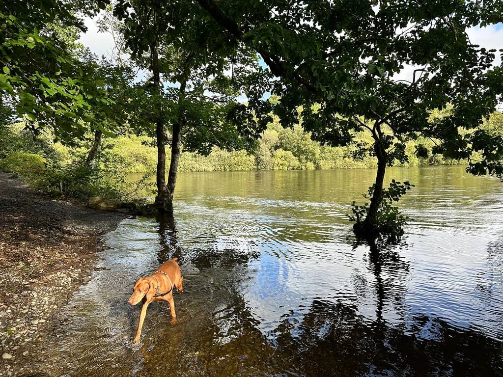 Skiddaw Mountain Views