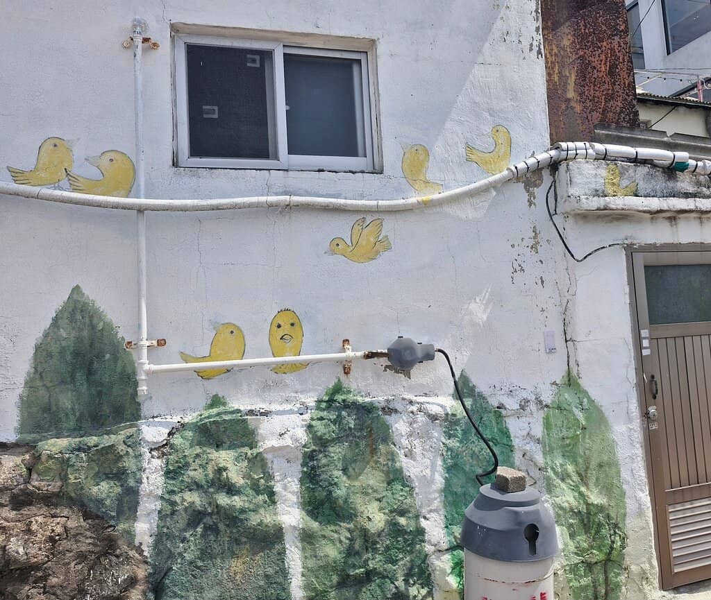 Coastal Walking Path