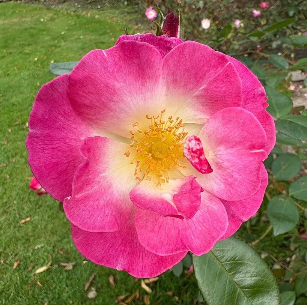 Peaky Blinders Filming Location