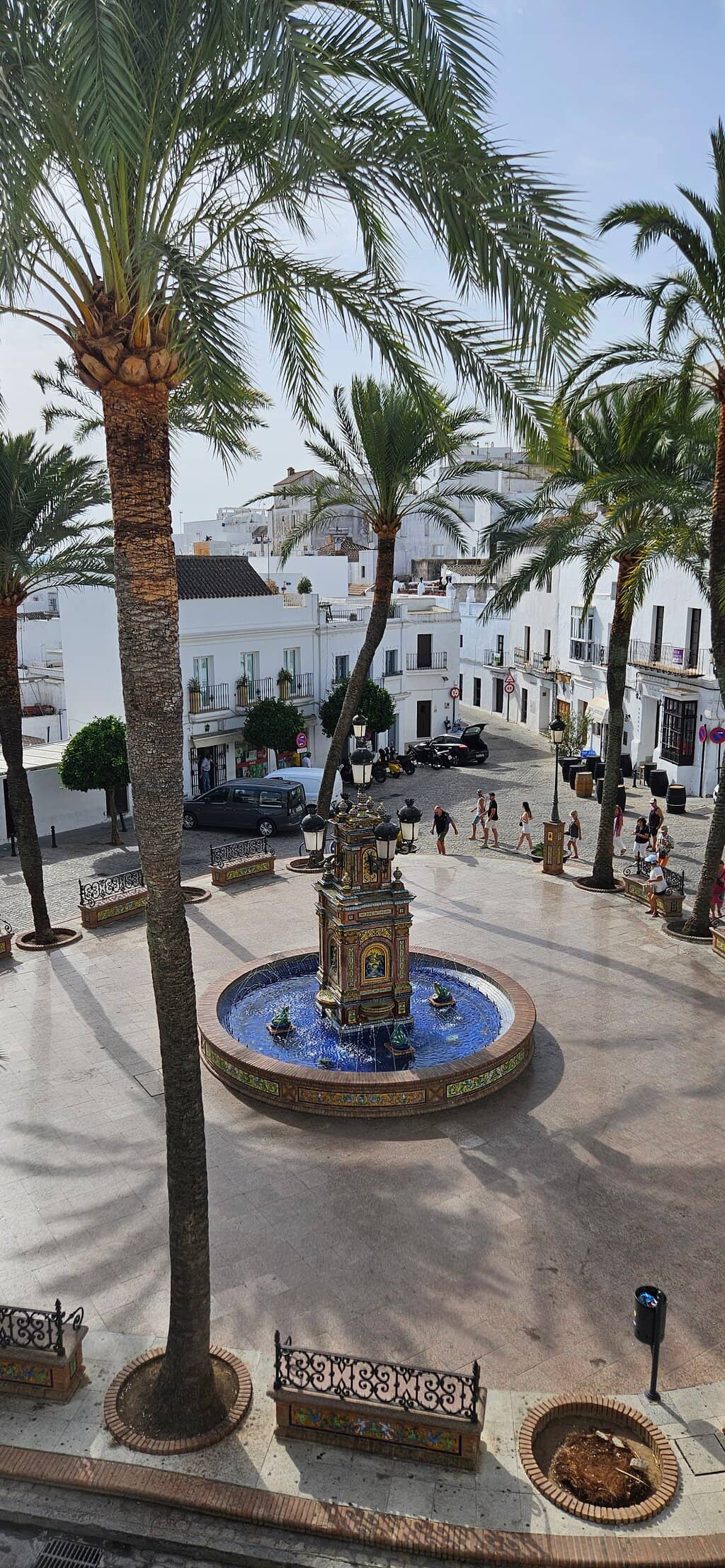 Evening Illumination