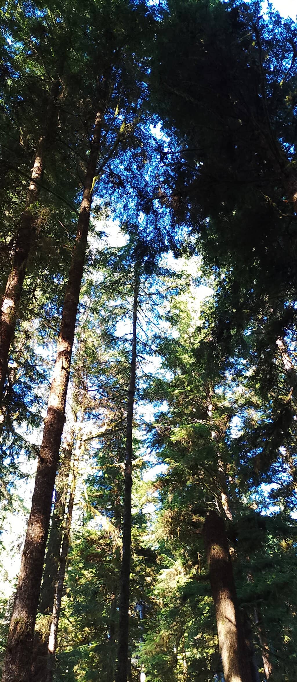 Asulkan Valley Trail