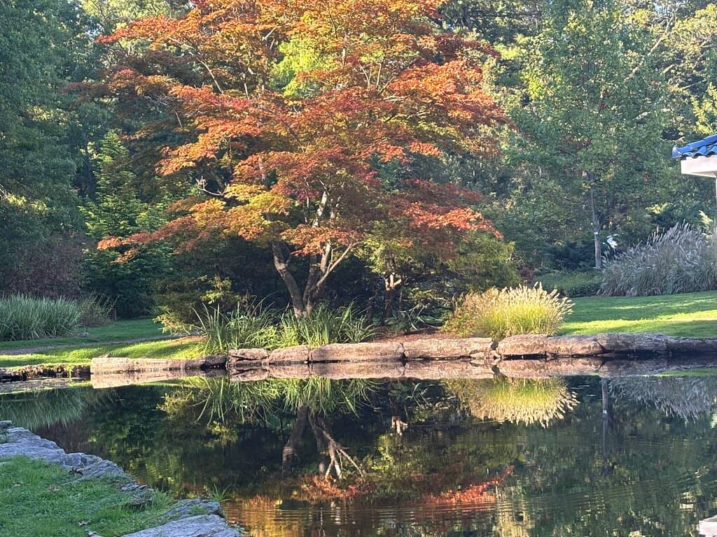Disc Golf Course