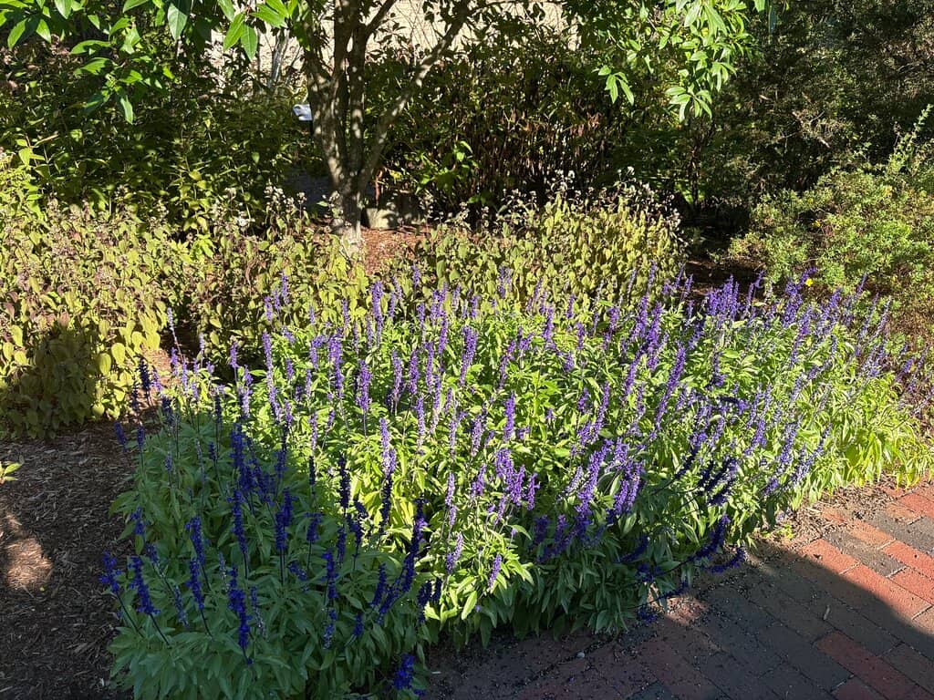 Panoramic Views of Hartford